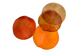 Round Chip